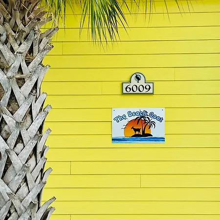 The Beach Goat